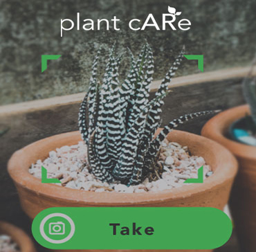 Plant Care Project